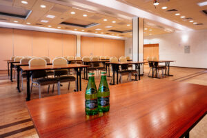 Conference center - MARCONI Sanatorium